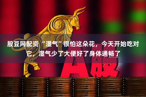股豆网配资 “湿气”很怕这朵花，今天开始吃对它，湿气少了大便好了身体通畅了
