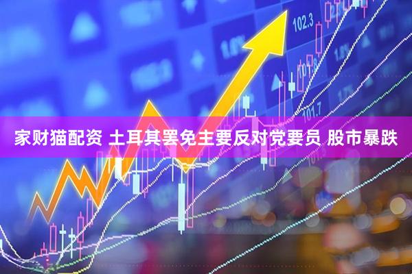 家财猫配资 土耳其罢免主要反对党要员 股市暴跌